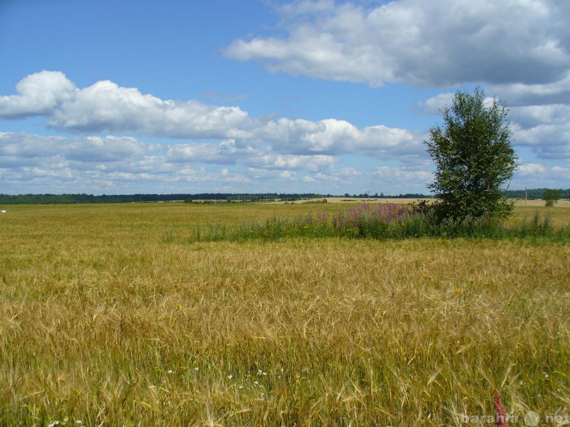 Продам: действующий бизнес