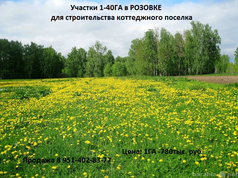 Продам: Участок от 1-40 ГА в Розовке под ИЖС для