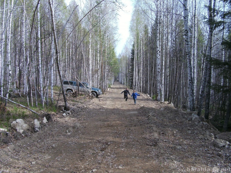 Продам: Участки в лесном поселке под дачи (дома)