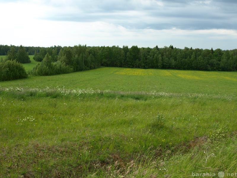 500 га. 500 Га земли. Участок в области 500га. Купить земельный участок 500га.