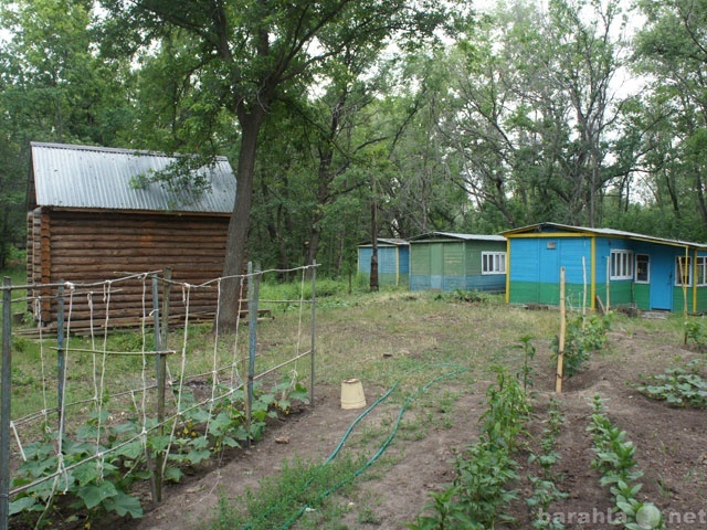 Продам: турбазу на острове Сазанка (р.