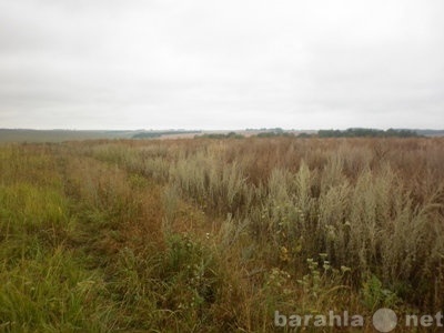 Продам: Зем. уч., д.Кузнецово, Богородский р-он