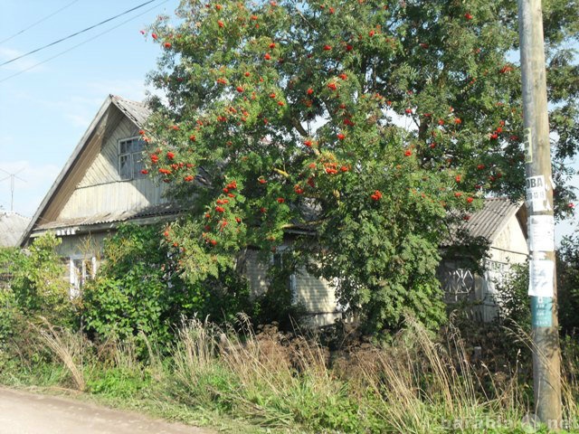 Продам: дом в деревне