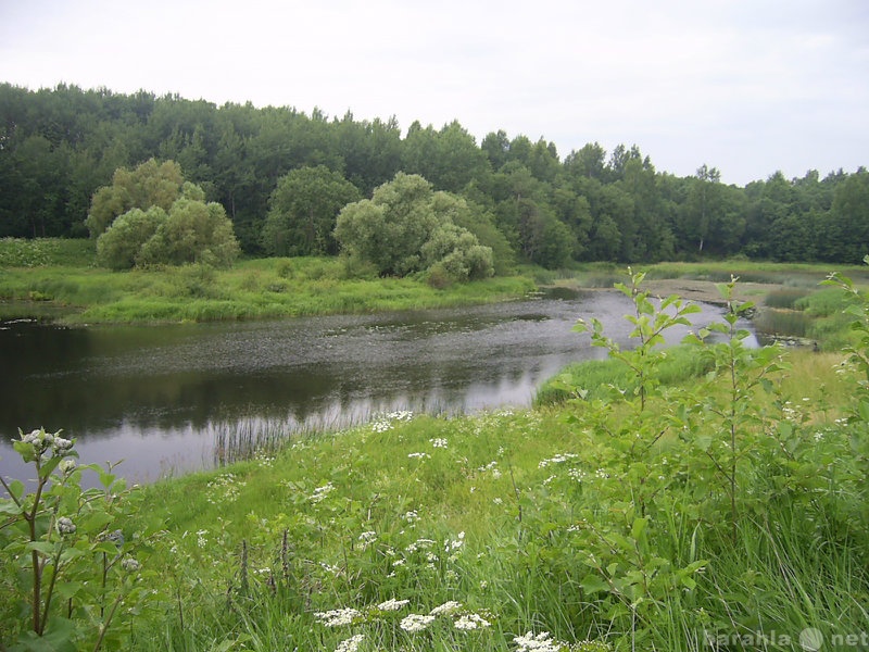 Елпатьево церковь