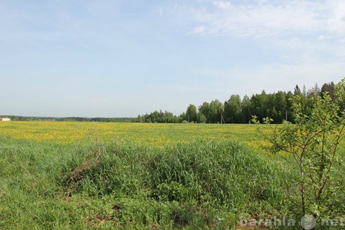 Продам: участок в Рузском районе МО