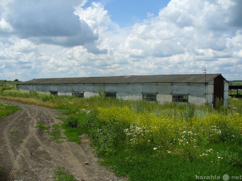 База п. Пгт Яковлево Белгородская область. Поселок Яковлево. Дом культуры Яковлево Белгородская область. Яковлево Белгородская область полевой стан.