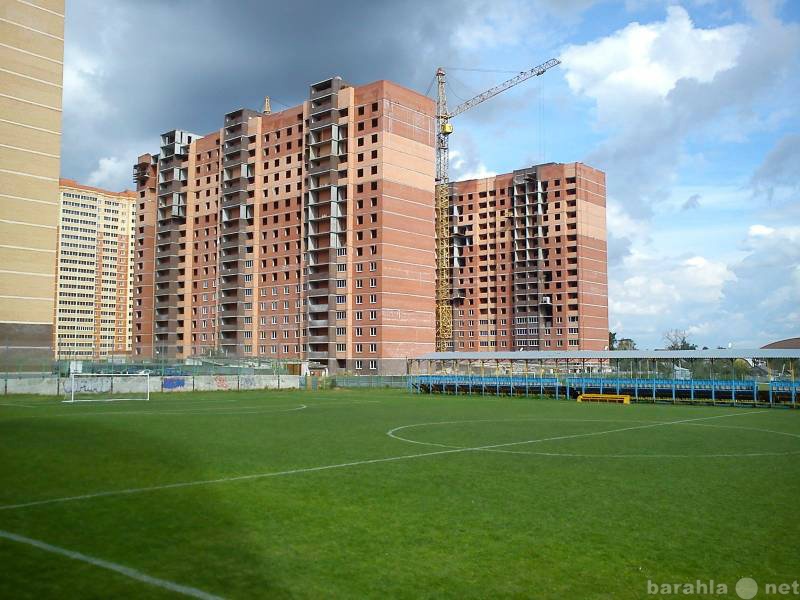 Поселок октябрьский московской. Октябрьский Люберецкий. Поселок Октябрьский улица спортивная дом 2. Спортивная 1 Октябрьский Люберецкого района. Люберецкий район пос. Октябрьский ул. спортивная д. 2.