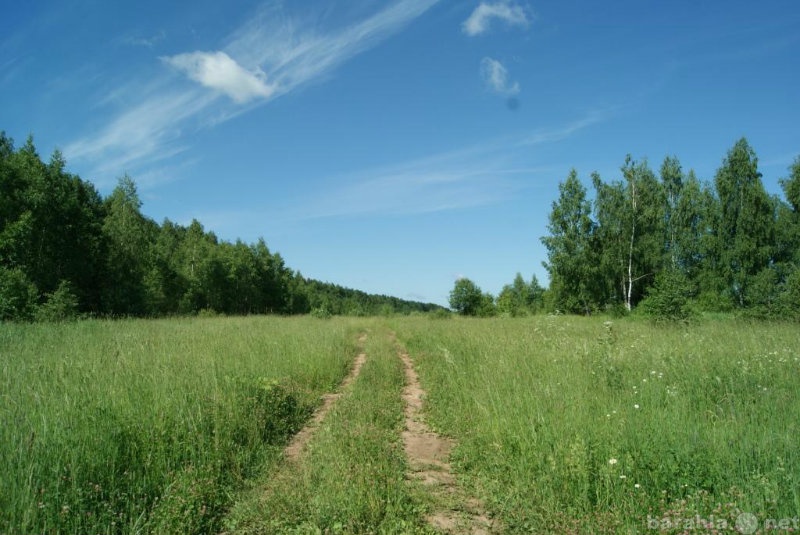 Продам землю московская область