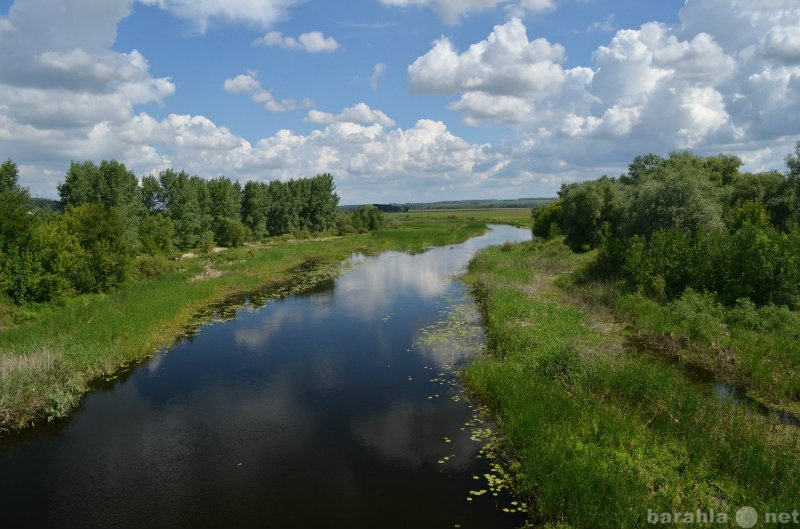 Лосево воронежская область фото