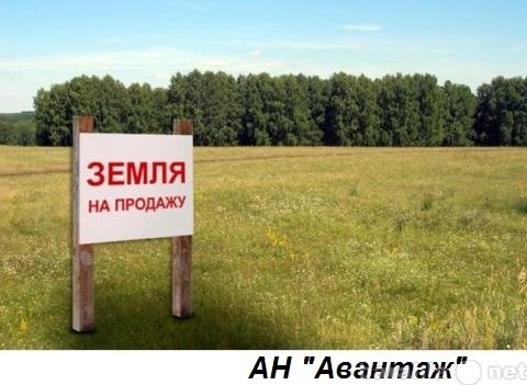 Продам: Земельный участок