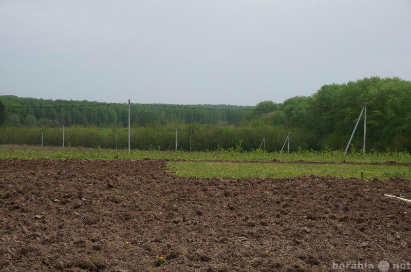 Продам: Участок «Дуденево» Богородский р-н