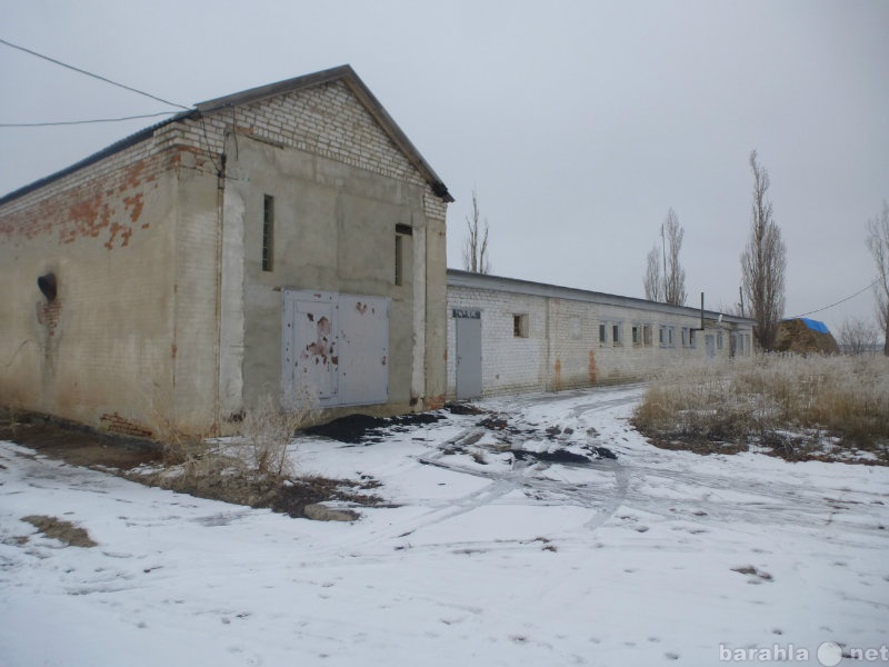 Погода в александровке иловлинского