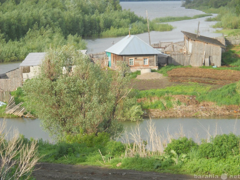 Шелаболиха алтайский край фото