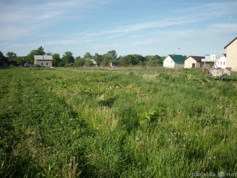 Продам: Участок в Рогачево