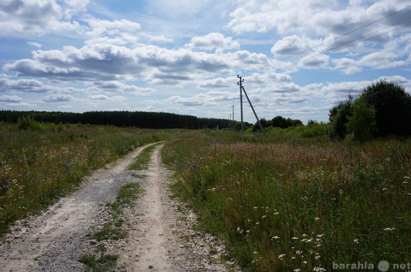 Земля нижегородская. Деревня Непецино Богородского района Нижегородской. Д. Непецино Богородский район 1800 года. Непецино Луговая. Деревня Кожевенное Богородского района улица Луговая фото.