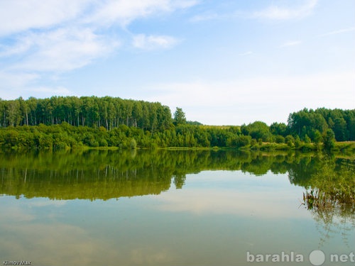 Заозерье богородский район фото