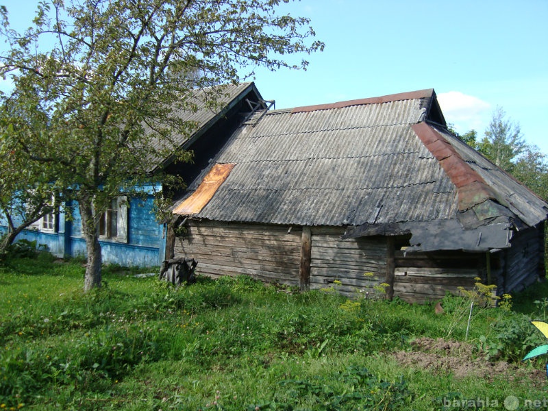 Шаховская деревня высокое