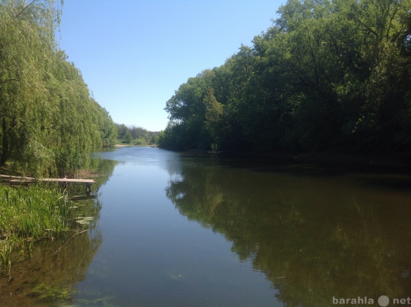 Село сейм. Село Сейм Курская область. Деревня Якунино Курская область. Река Сейм Курская область. Курск Сейм берег.