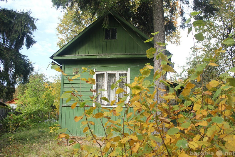 Посад недвижимость. Дача Сергиев Посад. СНТ Братина. Дачи в Загорске. СНТ Братина Сергиев Посад.