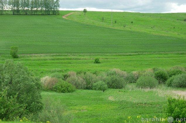 Продам: земельный участок