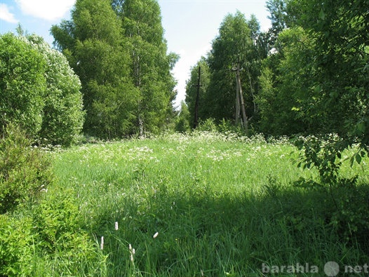 Продам: 15 соток д соболево