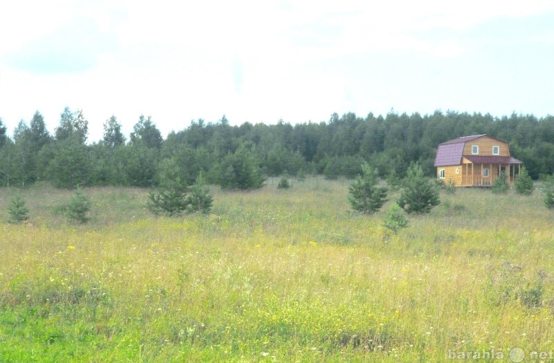 Участки в богородском районе. Инютино Нижегородская область. Инютино Богородский район Нижегородской области. Заря Богородский район. Земельный участок Богородский район.