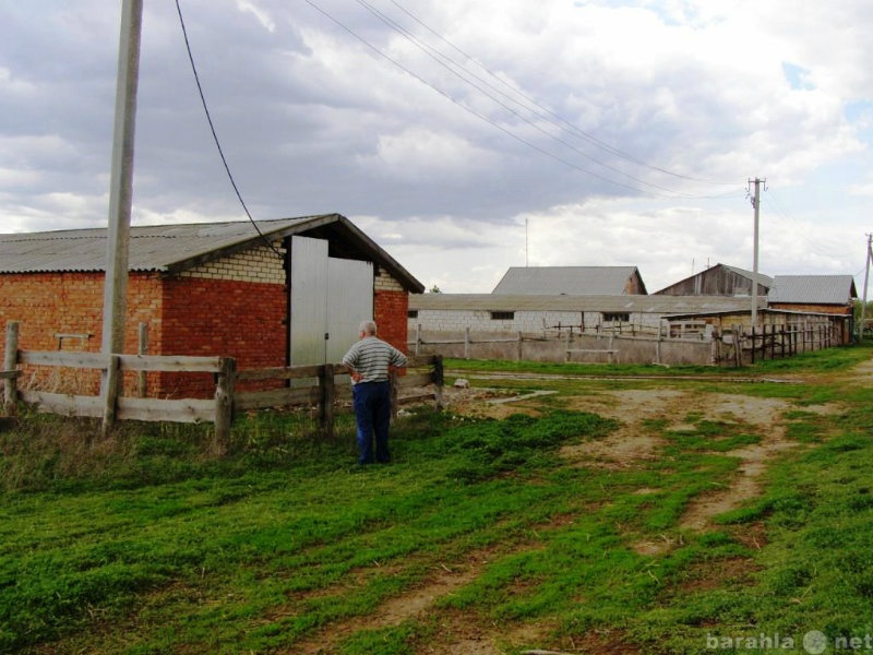 Продам: фермерское хозяйство