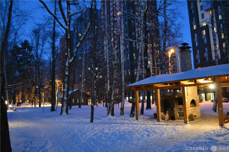 Сходня снять. Парк Велтон парк новая Сходня зимой. Wellton Park зимой. Велтон парк панорама зима. Велтон парк новая Сходня фото лес двор.