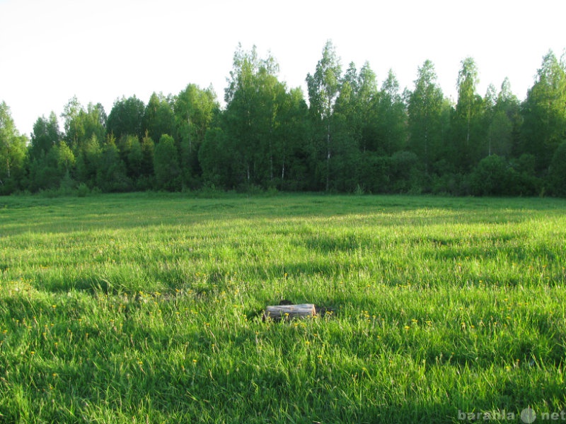 Продам: земельный участок