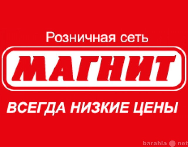 Сдам: Аренда в МАГНИТЕ