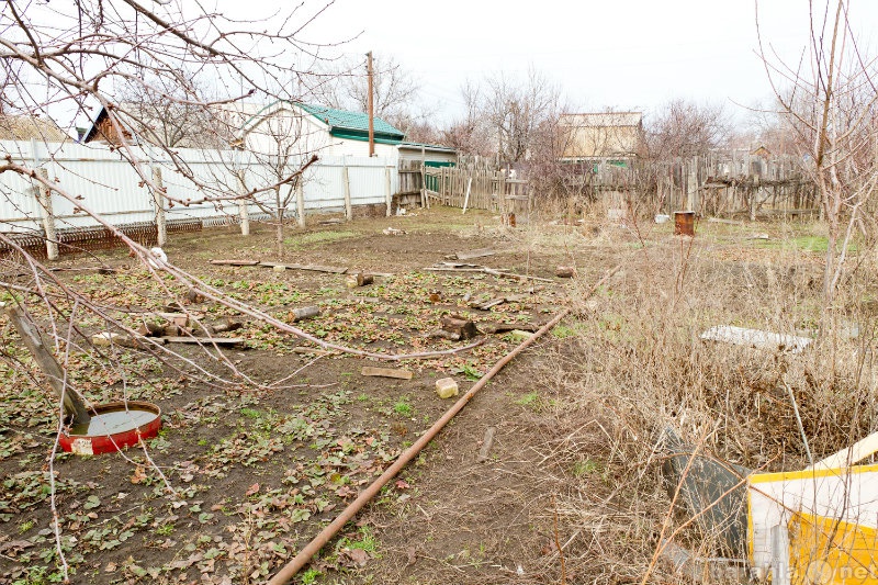 Снт садовод новосибирск