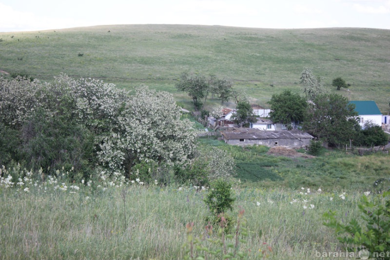 Село дубовка ставропольский край шпаковский район фото