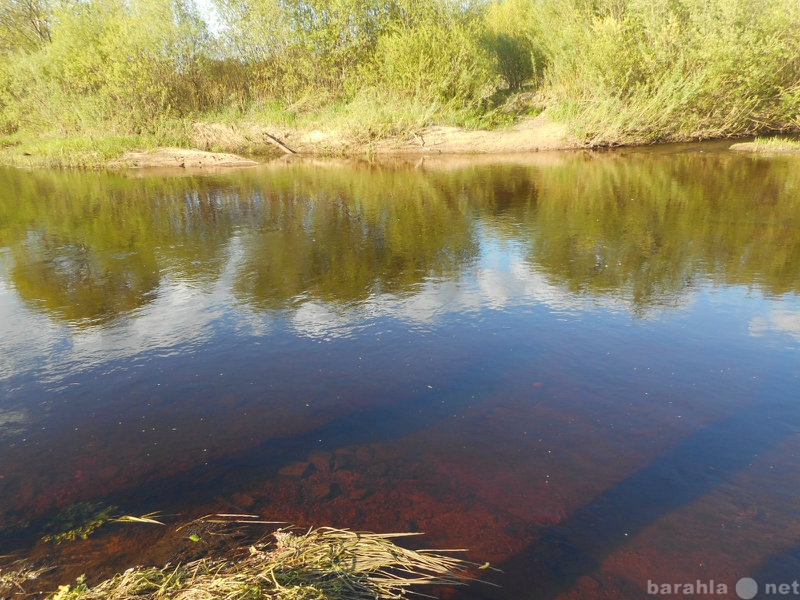 Продам: Земельный участок