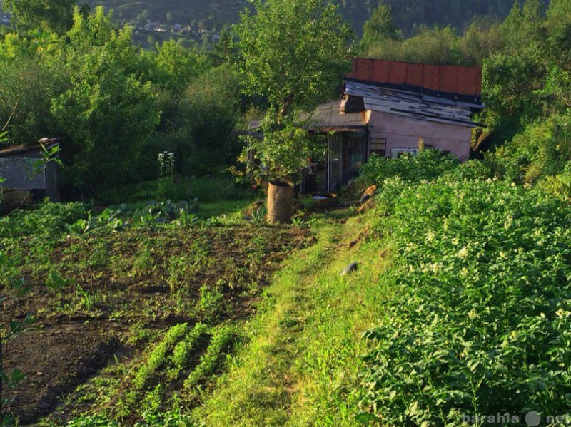 Продам: дачу