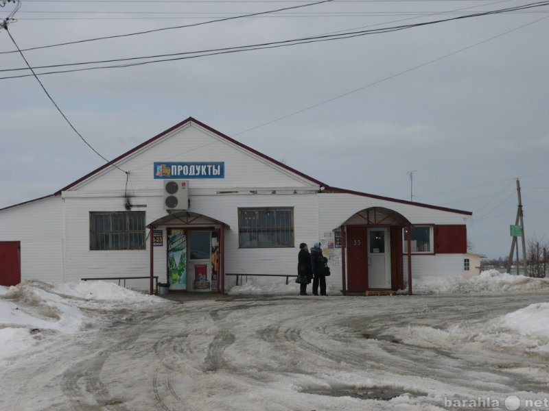 Погода в лизуново александровского владимирской. Деревня Лизуново. Лизуново Струнино. Лизуново СССР. Деревня Лизуново старые фотографии.