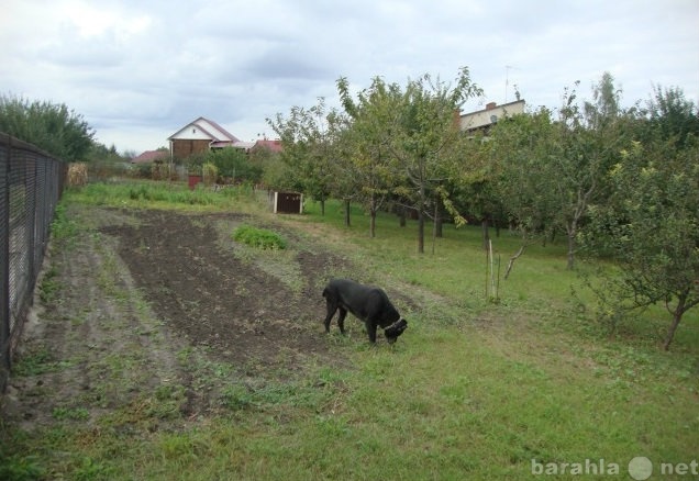 Продам: Участок ИЖС