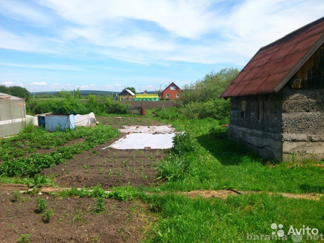 Погода в деревне береговая кемеровская область. Д Береговая Кемеровская область. Деревня Береговая. Поселок береговой Кемеровская область.