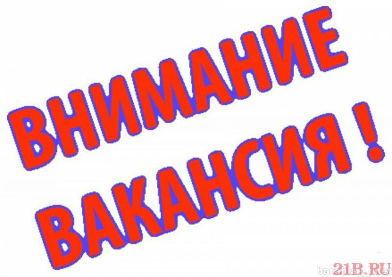 Вакансия: Администратор в офис