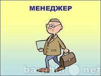 Вакансия: менеджер