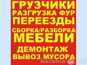 Ищу работу грузчиком мебели